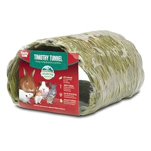 Oxbow Timothy Hay Tunnel, Guinea Pig Hideout, Rabbit & Bunny Tunnel, Edible & Hand-Woven Guinea Pig House, No Wires or String, Small Pet Accessories, for Rabbits, Chinchillas & Rats