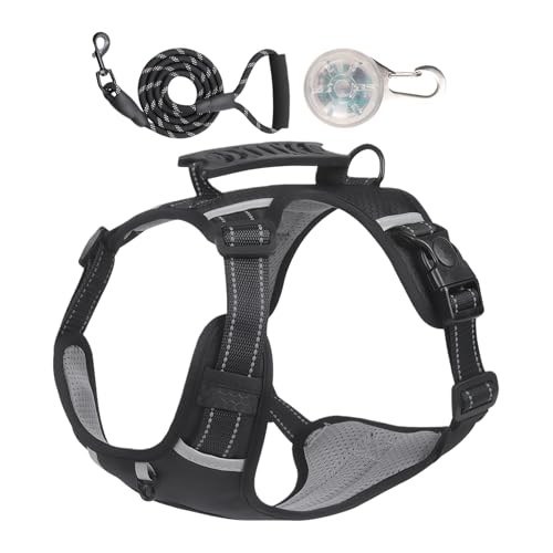 pn[lX | Eh~ ˃e[v n[lX - \  p[v | g[jO s TCNO O[~O LsO nCLOp