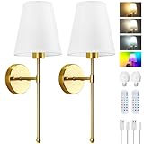 Lightess 2 Battery Operated Wall Lights for Living Room Battery Wall Lamp RGB Dimmable Rechargeable Wall Lights Indoor Wireless Wall Sconce for Bedrooms Cordless Sconce Touch&Remote Control