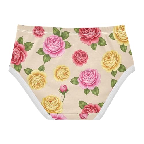 Toddlers Underwear Floral 2t Cotton Girl Panties Cute Funny Kids Undies Briefs Vintage Flowers Colorful Floral2