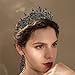 TOBATOBA Black Tiaras and Crowns for Women, Gothic Wedding Tiara, Black Swan Crown Gothic Halloween Costumes for Women Prom Cosplay Accessories