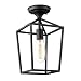 Emliviar Semi-Flush Mount Ceiling Light, 1-Light 13 inch Height Ceiling Light Fixture in Black Finish, 20065B1-F1 BK