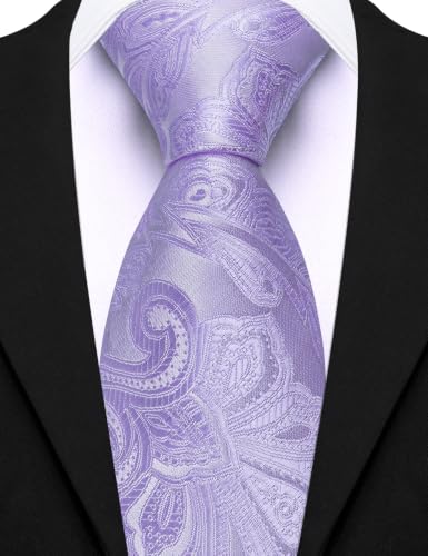 Image of Barry.Wang Paisley Tie for Men Silk Woven Necktie and Tie Clip Set Wedding Party Business Formal