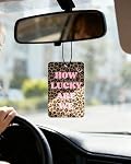 5Pcs Voiture léopard Air Fresheners mignon voiture intérieur Accessoires Suspendre Scents Fresh energy Automotive Room Decor pour les femmes Teen Girls Cadeau