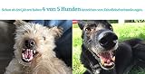 Schnüffelfreunde Zahnpflege Wasserzusatz für Hunde und Katzen | Frischer Atem und gesunde Zähne - Hilft Plaque und Zahnstein vorzubeugen - 500ml (Classic)