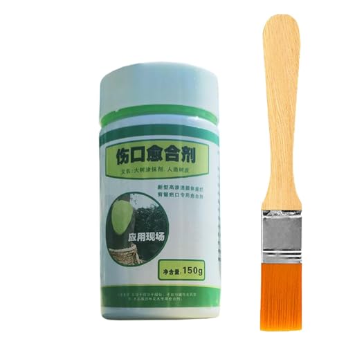 Scellant pour les arbres - Mastic à action rapide - Traitement des branches - Gel de traitement des branches - Accessoire de jardinage - Solution d'entretien des arbres - Revêtement anti-coupures