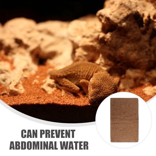 Alfombra de fibra de coco transpirable para reptiles, pack de 3 protectores de terrarios 8