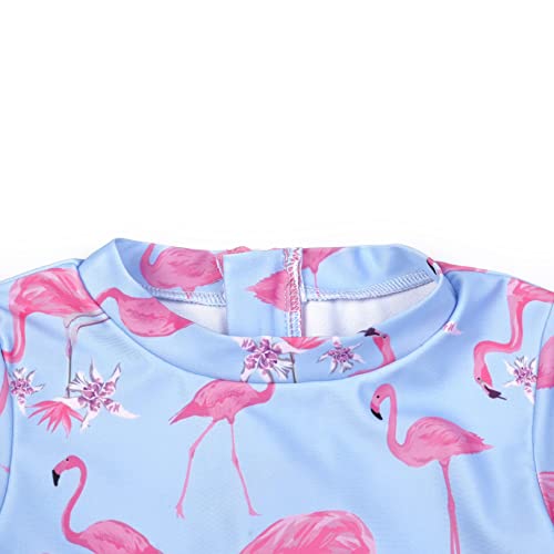 QPANCY Maiô infantil Rash Guard de manga comprida com zíper e proteção solar FPS 50+, Flamingos 713,