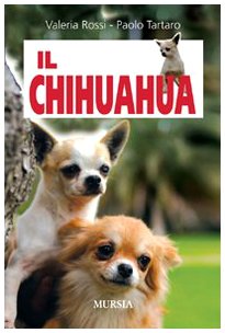 Il chihuahua