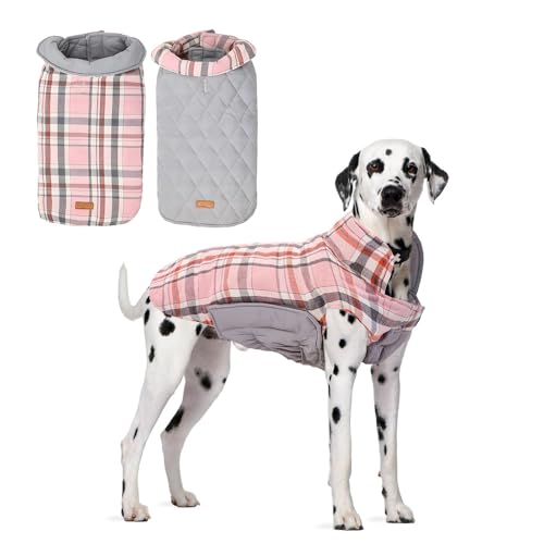 dog winter coats