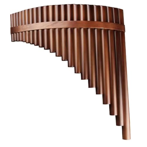 vdl̃pt[g 22{̃pCv CL[ /Ep |pt[g y(Left hand)