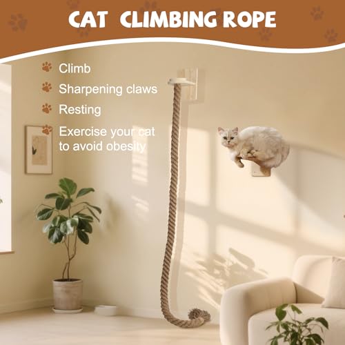 Rascador para gato montado en pared con cuerda resistente miniatura 5