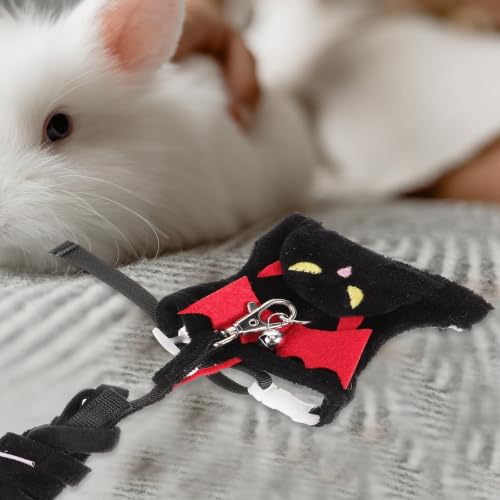 Correa de gato antitirones y ajustable para paseos seguros 7