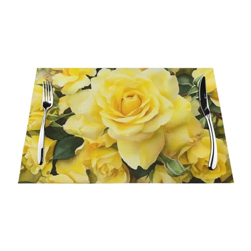 Sets de table tissés en PVC résistant chaleur lavable pour protection table repas