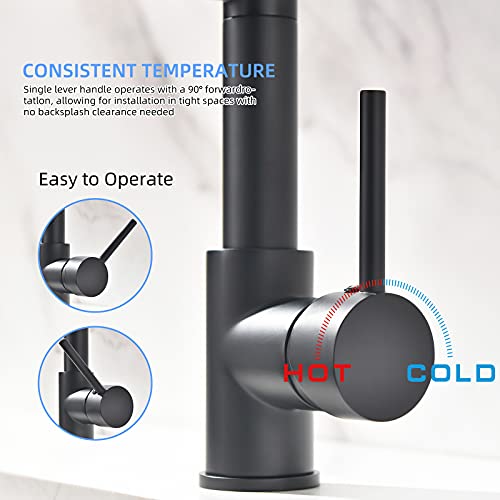 Fapully Black Kitchen Faucet With Pull Down Sprayer,Commercial Led Kitchen Faucet,Single Handle Single Hole Kitchen Sink Faucet #TOP6