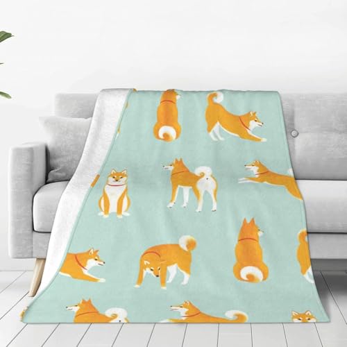 ジェラピケ　柴犬　ブランケット え？あたちモデル？（違いますw） ジェラピケの限定柴犬GETして