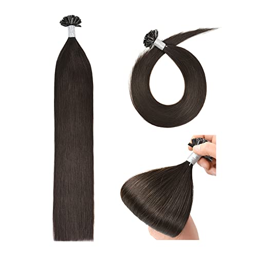 Extensiones de Queratina U Tip Hair Extensions 40cm Keratina Extensiones Pelo Natural (50g #2 marrón oscuro)