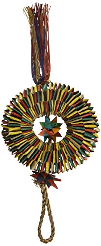 Planet Pleasures Bird Tire Swing Toy for Avian Entertainment