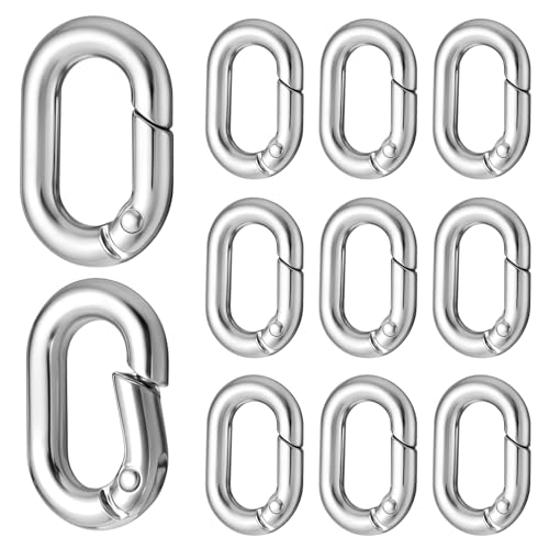 Giantree 10Pack 1 Inch Small Carabiner Clip, Metal Tiny Oval Carabiner Spring O Rings Hooks, for Lanyard Keychain, Car Key Rings Hook Dog Tag Clips Purse Keychain Replacement (Silver-White)