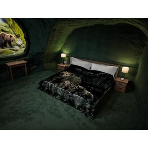 SOLARON Korean Super Thick Heavy Weight Mink Blanket (Queen, Bear and Cubs Green) Cover