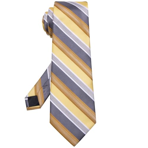 Image of Hi-Tie 63 inches Striped Paisley Extra Long Ties for Men Silk Necktie with Lapel Pin Tie Clip Big and Tall Men Formal Wedding