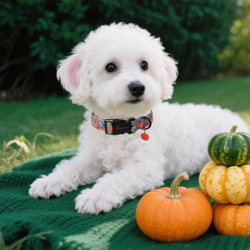 ARING PET Halloween Hundehalsband, Niedlich Kürbis Hundehalsband mit Schnellverschluss aus Kunststoffschnalle, Bequemes Grün Baumwoll Halsband für Jungen und Mädchen Hunde