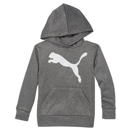 PUMA Kids Boys Core Pack Poly Fleece Hoodie Casual Outerwear Casual Comfort Technology - Grey
