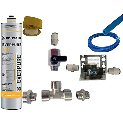 Everpure Kit de instalación bajo Fregadero con Cabezal Ql2b y Filtro 4C