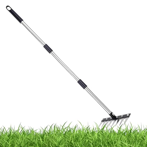 Rastrillo desenredante – Aireador de remolque, aireador de remolque con rastrillo, aireador de césped de 3 puntos, 32 dientes de acero, 1524 mm para tractor, rastrillo de paisaje para jardín,