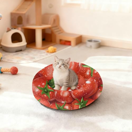 Lit apaisant pour chien Fresh Tomatoes rouge S moelleux rond