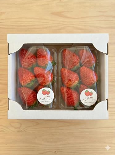 いちご2パック(みおしずく+おまかせ) いちご農園ぐっど・べりー O-G11