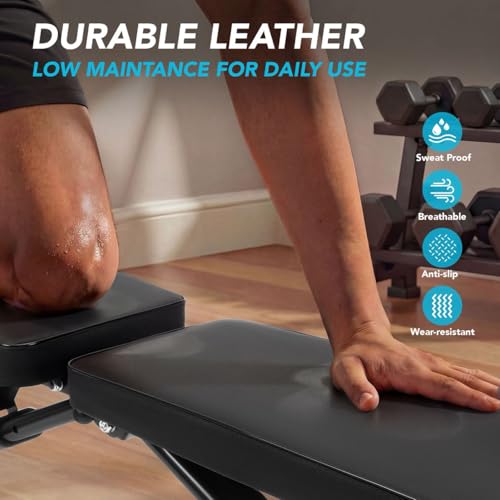 Image of XRT65 Foldable & Adjustable Weight Bench for Home Gym - Multi-Angle Incline /Flat /Decline - Heavy-Duty Steel Frame, Comfortable Cushion, Supports 350kg - Ideal for Chest, Back, Abs Workouts (Adjustable Bench Press)