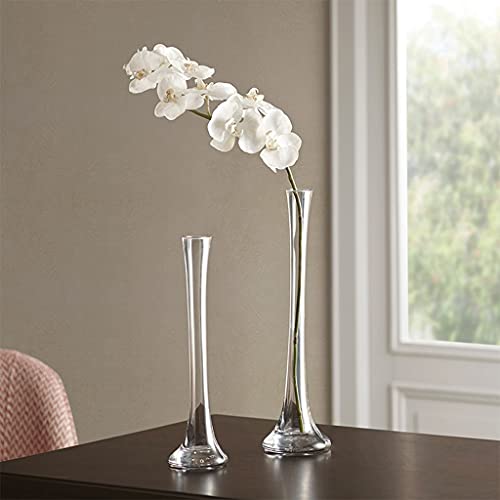 Vase moderne et simple transparent pour valoriser de grandes fleurs séchées