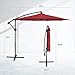 Simple Deluxe 10ft Offset Umbrella Cantilever Patio Hanging Umbrella with Crank & Cross Base Suitable for Garden, Lawn, Red