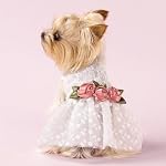Fitwarm Luxury Rose Lace Pet Dog Weddding Dress Bride Clothes Formal Apparel, Small Fitwarm Luxury Rose Lace Pet Dog Weddding Dress Bride Clothes Formal Apparel Small