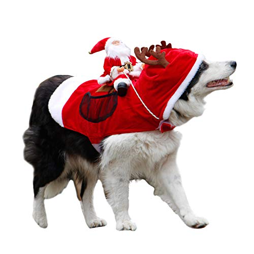 dog running costume
