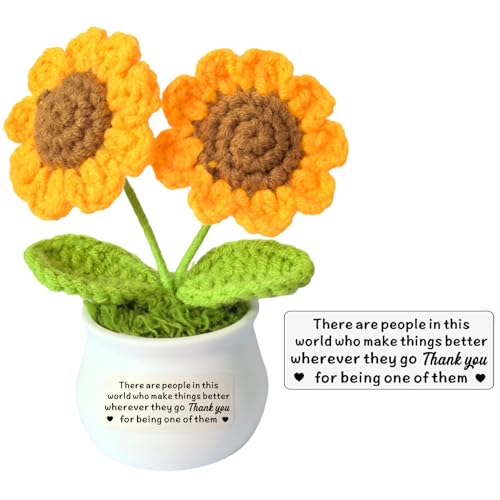 HULALA Handmade Positive Sunflower Thank You Gifts for Women Men Graduation Desk Decor Gifts for Teacher Coworker Doctor Nurse Leaving Job Farewell Presents for Boss Staff Home Office Desk Decor