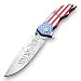 KCCEDGE BEST CUTLERY SOURCE USA American Flag 8 Inches Punisher Folding Pocket Knife Proud of America Knife (We The People)