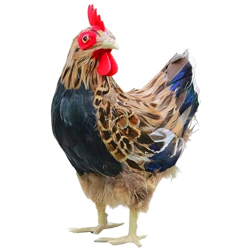 Figurine de poulet de 24 cm en résine robuste et résistante aux intempéries