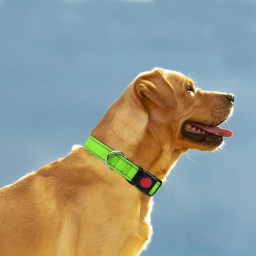 Taglory Hundehalsband, Weich Gepolstertes Neopren Nylon Hunde Halsband für Große Hunde, Verstellbare und Reflektierend für das Training, Grün