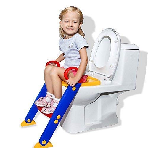 Nirvik 2 In 1 Training Foldable Ladder Potty Toilet Seat for Kids (Multi Colour), Plastic