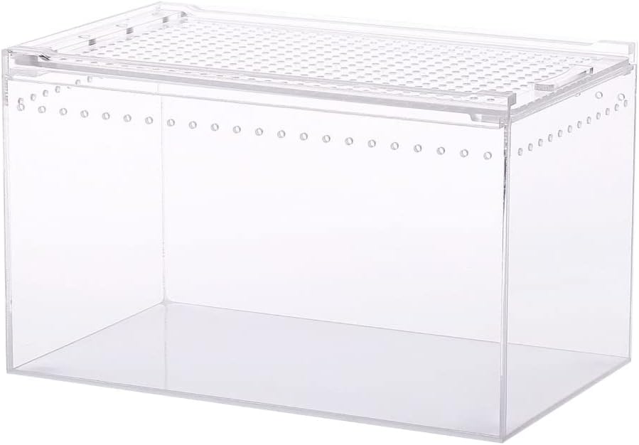 Spiders Tortoises Lizards Clear Designed Breeding Box Vivarium Lid Pet Product Terrarium