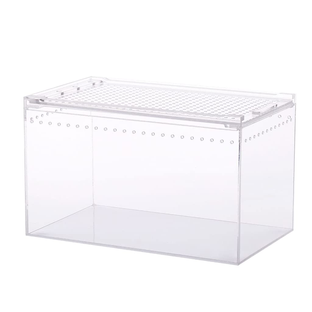 Terrarium dla gadów, duże pudełko do karmienia do małego domowego biura