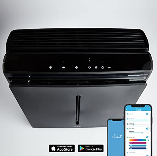Rabbit Air A3 Spa-1000N Ultra Quiet Hepa Air Purifier, 6 Stage Filtration, Wall Mountable, For Large Rooms, Removes Airborne Allergens, Smoke, Dust, Mold, & Vocs (Black, Germ Defense Filter) #TOP2