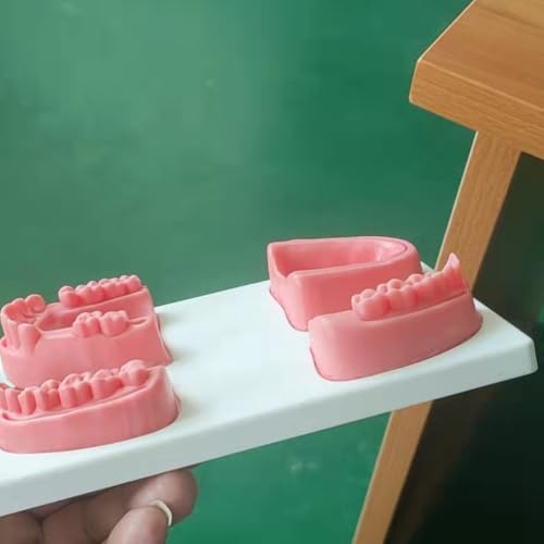 Modelo de práctica oral para simulación de limpieza y enseñanza 6