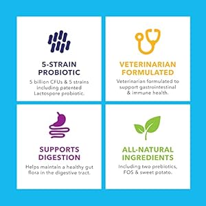 Vetnique Labs Profivex Probiotics for Dogs All Natural Dog Chews & Powder for Digestive Health Probiotic Supplements for Dogs 5 Strains of Probiotics & Prebiotics (Soft Chews, 60ct)