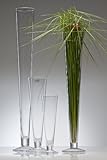 vase konisch 90 cm Lieferumfang: 1x GlasvaseMarke: Sandra RichSerie: CieloMaterial: GlasHöhe: 40 cmDurchmesser: 11 cmFarbe: klarVolumen: 1,6 lProduktionstechnik: hot cut