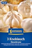 Kiepenkerl Winterknoblauch Messidrome 2975000 Pflanzknoblauch, Steckzwiebeln Knoblauch, Herbstknoblauch zum Pflanzen im Herbst, Ernte im Frühling, würziger Knoblauch