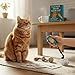 Cat Clicker Training Kit with 36 Trick Cards - Complete Set Includes Pet Clicker & Progress Chart for Fun, Bonding, and Positive Behavior Training in Cats & Kittens
