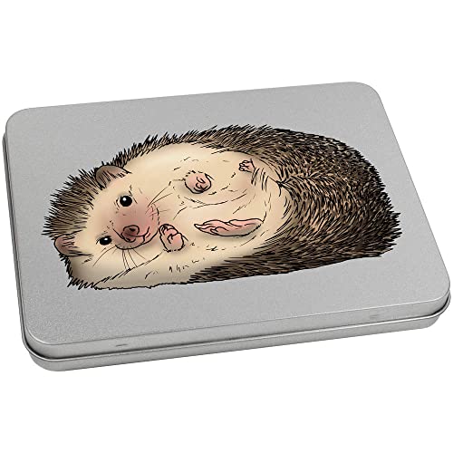170mm 'African Hedgehog' Metal Hinged Tin/Storage Box (TT00174373)